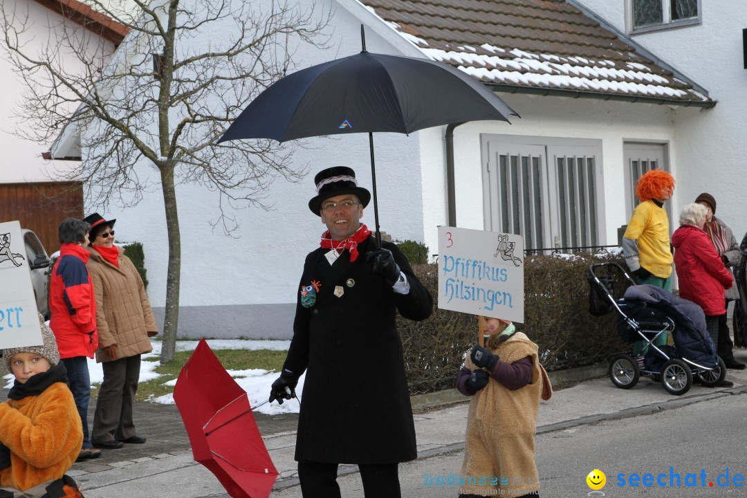 Fasnets Umzug: Hilzingen am Bodensee, 10.02.2013