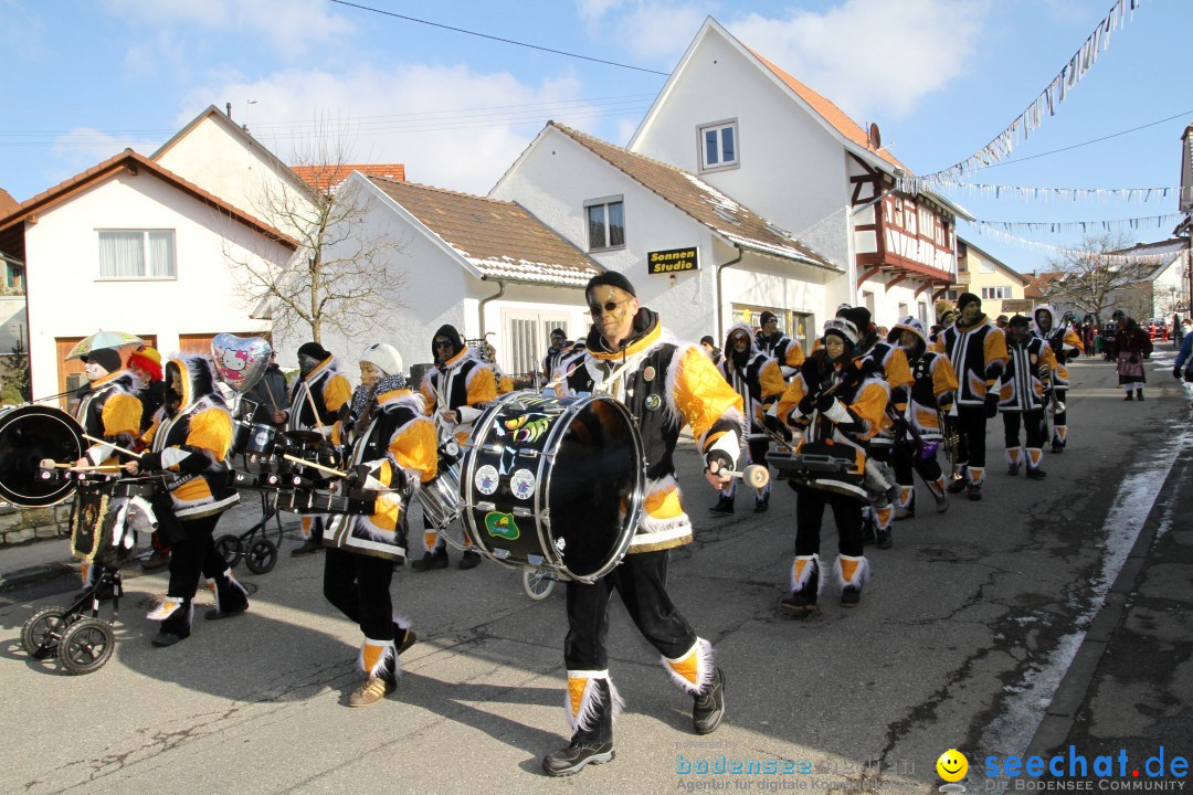 Fasnets Umzug: Hilzingen am Bodensee, 10.02.2013