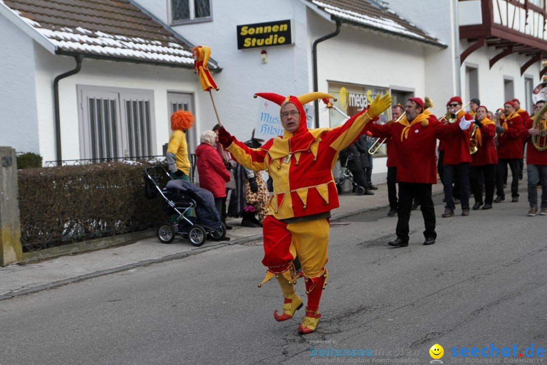 Fasnets Umzug: Hilzingen am Bodensee, 10.02.2013