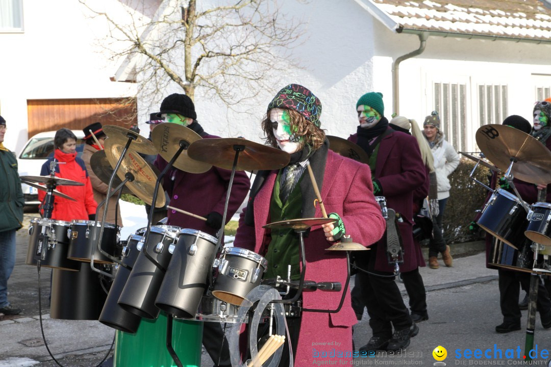 Fasnets Umzug: Hilzingen am Bodensee, 10.02.2013