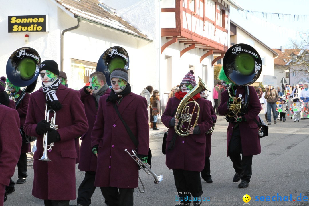 Fasnets Umzug: Hilzingen am Bodensee, 10.02.2013