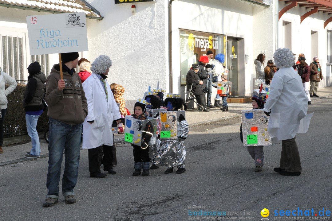 Fasnets Umzug: Hilzingen am Bodensee, 10.02.2013