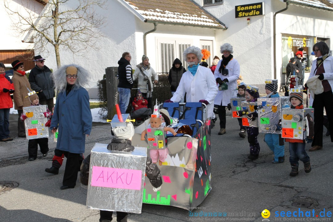 Fasnets Umzug: Hilzingen am Bodensee, 10.02.2013