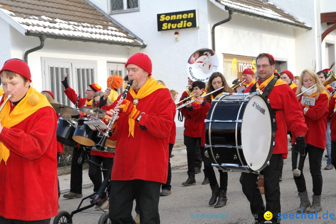 Fasnets Umzug: Hilzingen am Bodensee, 10.02.2013