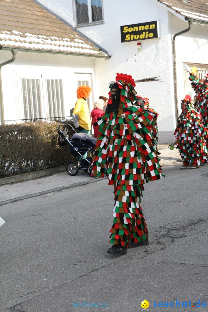 Fasnets Umzug: Hilzingen am Bodensee, 10.02.2013