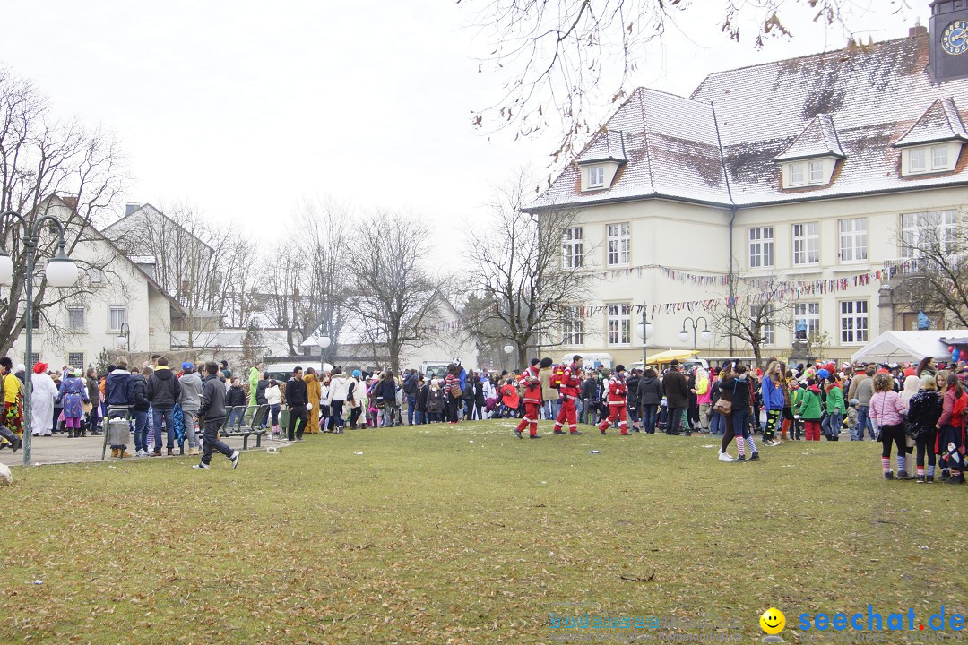 Rosenmontagsumzug: Gottmadingen am Bodensee, 11.02.2013