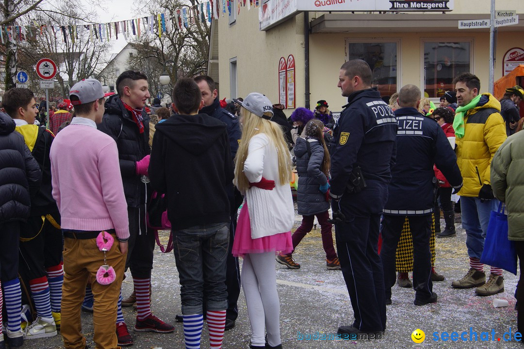 Rosenmontagsumzug: Gottmadingen am Bodensee, 11.02.2013