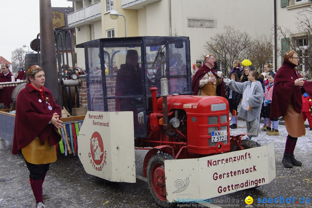 Rosenmontagsumzug: Gottmadingen am Bodensee, 11.02.2013