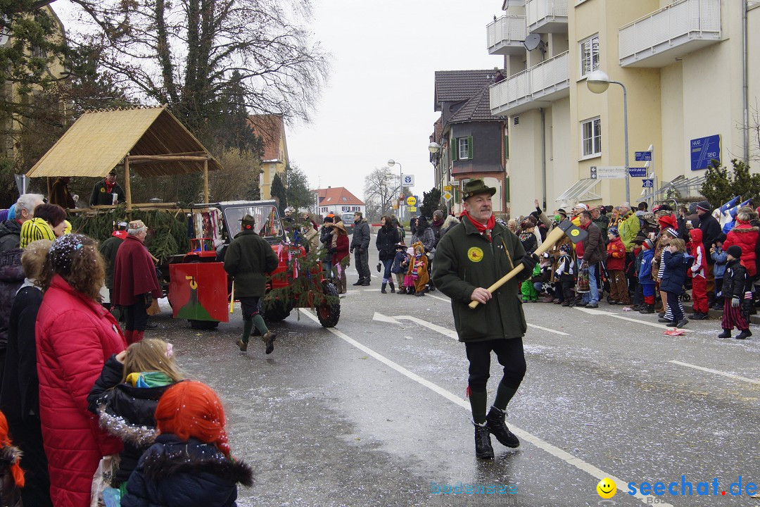 Rosenmontagsumzug: Gottmadingen am Bodensee, 11.02.2013