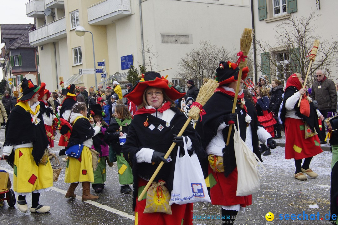 Rosenmontagsumzug: Gottmadingen am Bodensee, 11.02.2013