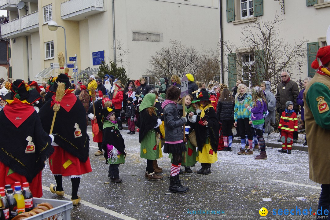 Rosenmontagsumzug: Gottmadingen am Bodensee, 11.02.2013