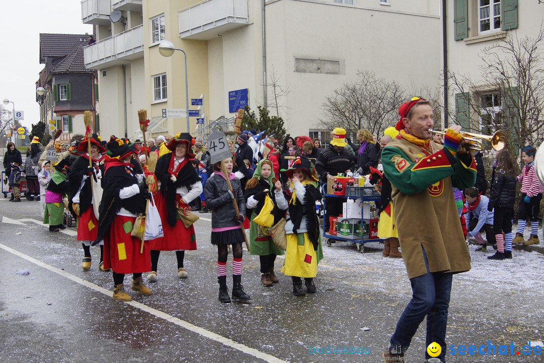 Rosenmontagsumzug: Gottmadingen am Bodensee, 11.02.2013