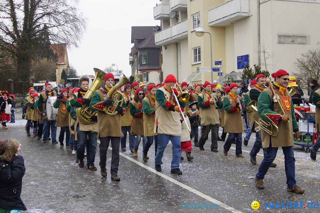 Rosenmontagsumzug: Gottmadingen am Bodensee, 11.02.2013