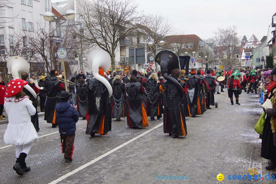 Rosenmontagsumzug: Gottmadingen am Bodensee, 11.02.2013