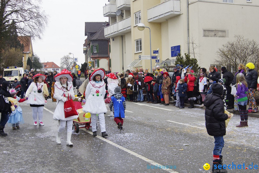 Rosenmontagsumzug: Gottmadingen am Bodensee, 11.02.2013