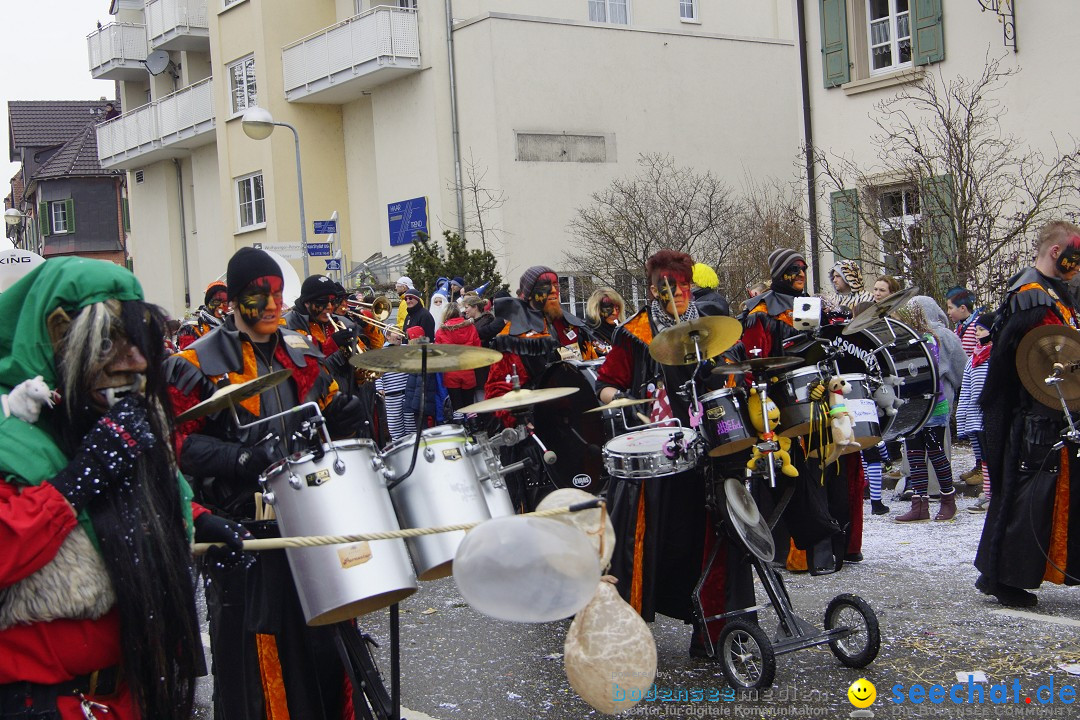 Rosenmontagsumzug: Gottmadingen am Bodensee, 11.02.2013