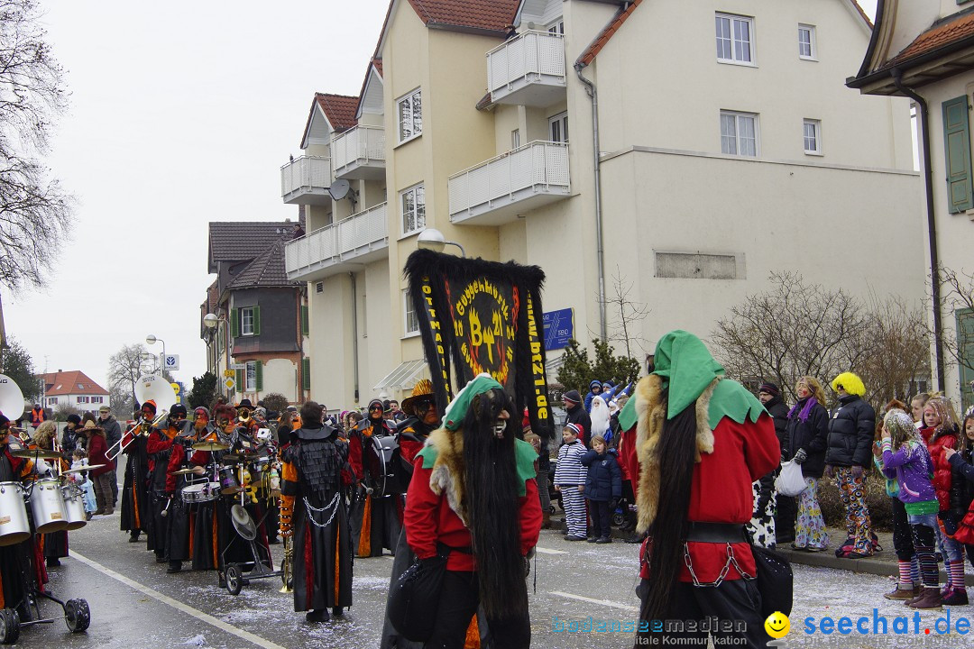 Rosenmontagsumzug: Gottmadingen am Bodensee, 11.02.2013