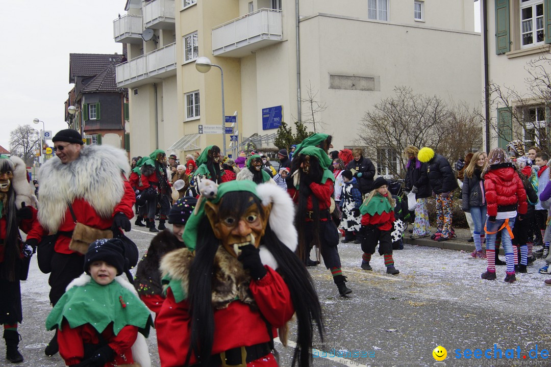 Rosenmontagsumzug: Gottmadingen am Bodensee, 11.02.2013