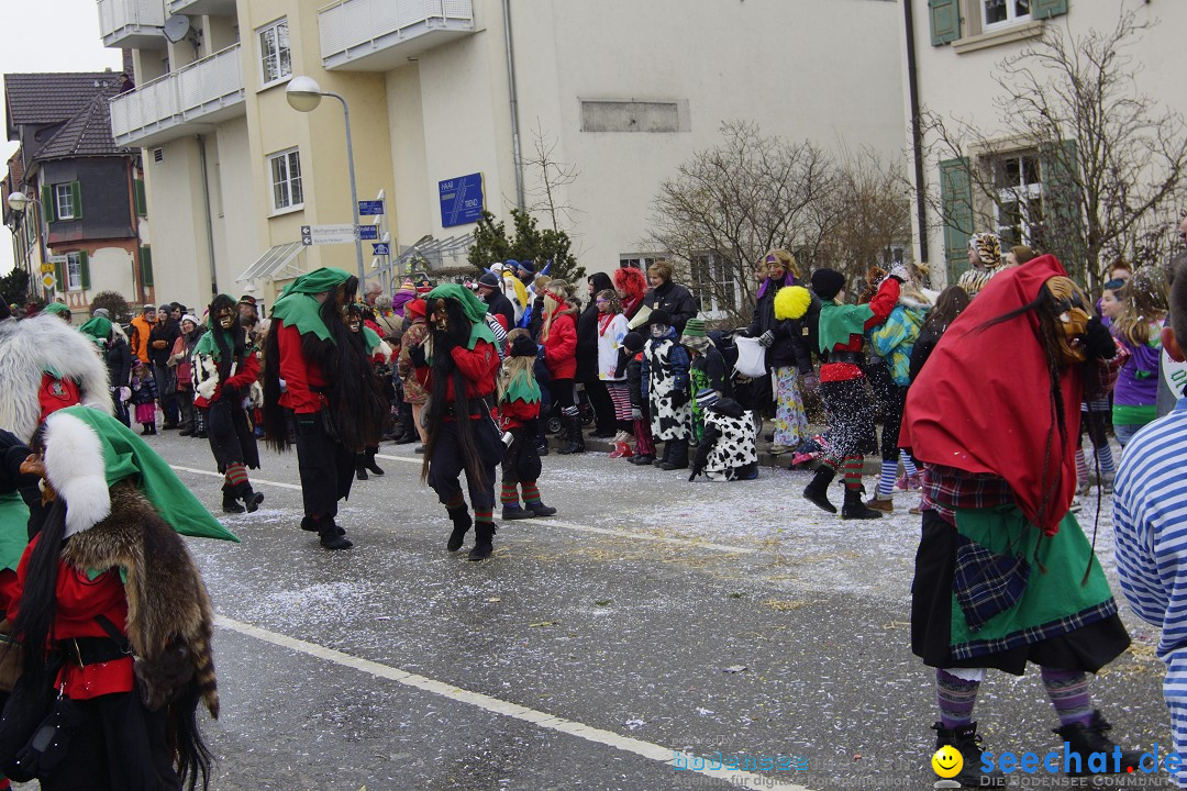 Rosenmontagsumzug: Gottmadingen am Bodensee, 11.02.2013