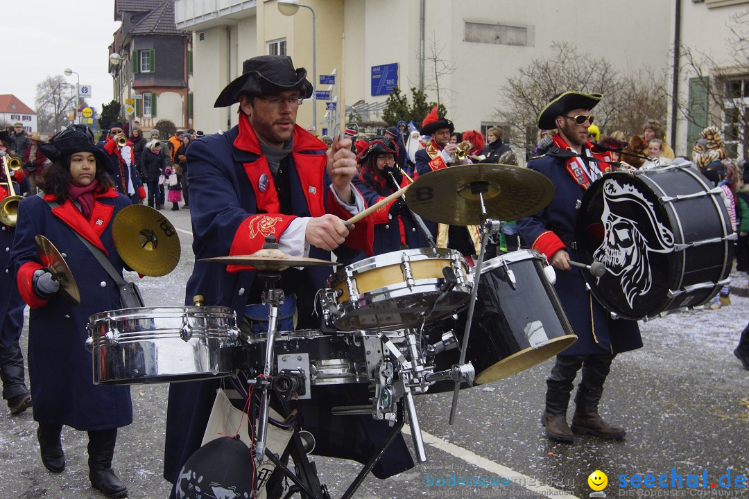 Rosenmontagsumzug: Gottmadingen am Bodensee, 11.02.2013