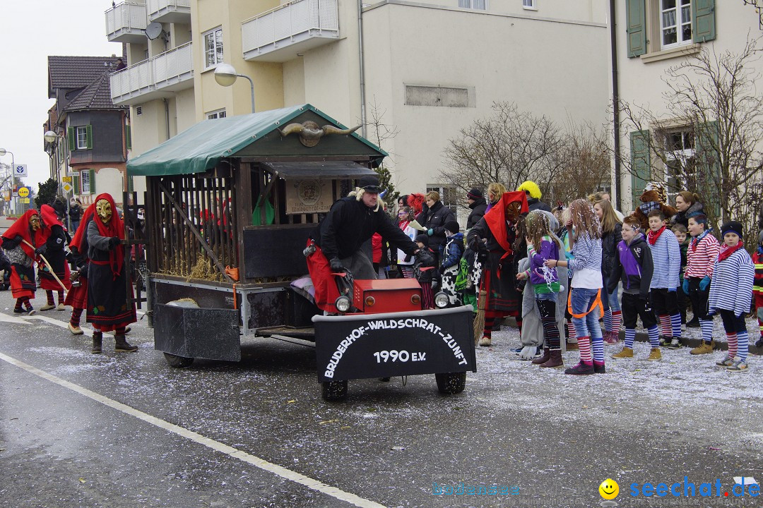 Rosenmontagsumzug: Gottmadingen am Bodensee, 11.02.2013