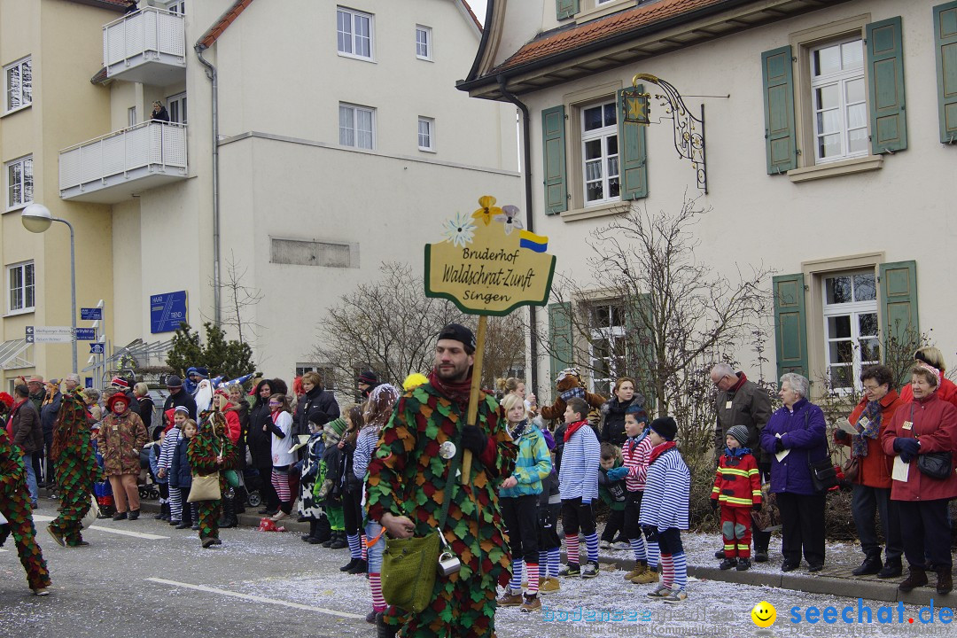 Rosenmontagsumzug: Gottmadingen am Bodensee, 11.02.2013