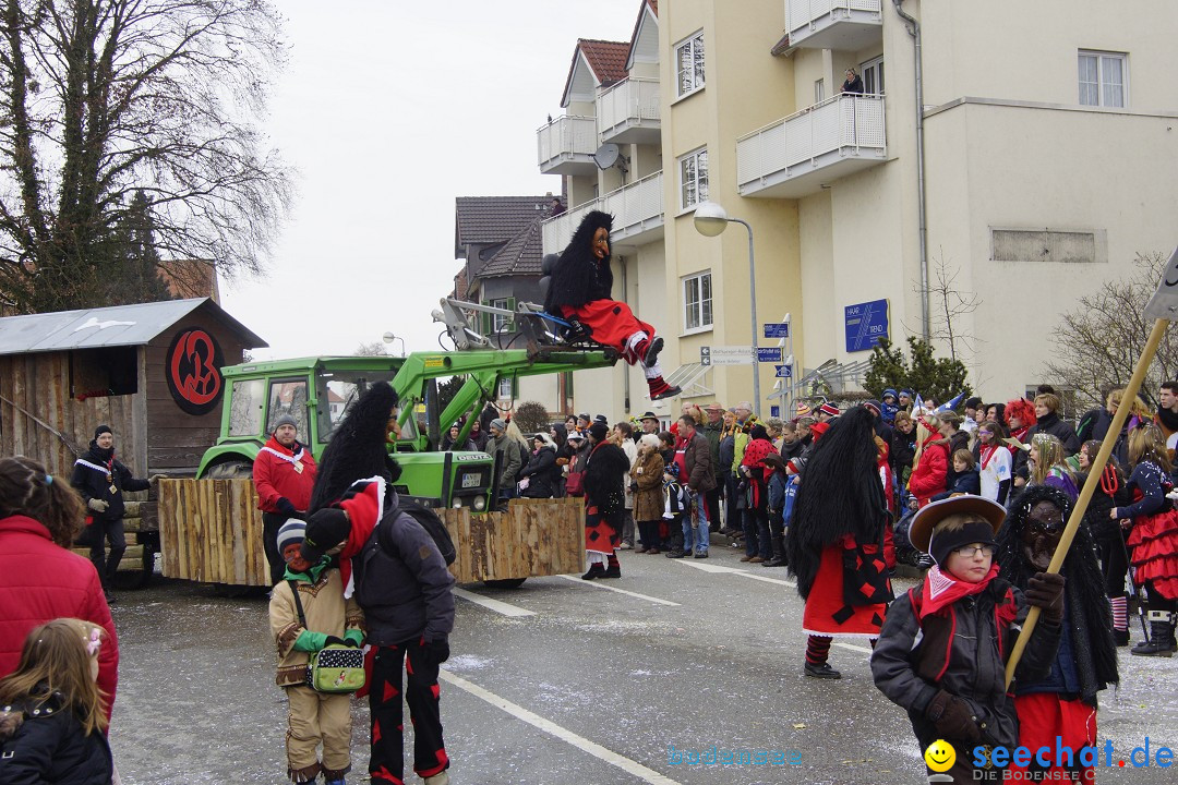 Rosenmontagsumzug: Gottmadingen am Bodensee, 11.02.2013