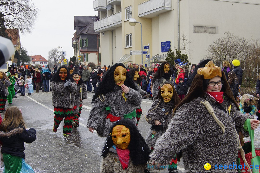 Rosenmontagsumzug: Gottmadingen am Bodensee, 11.02.2013