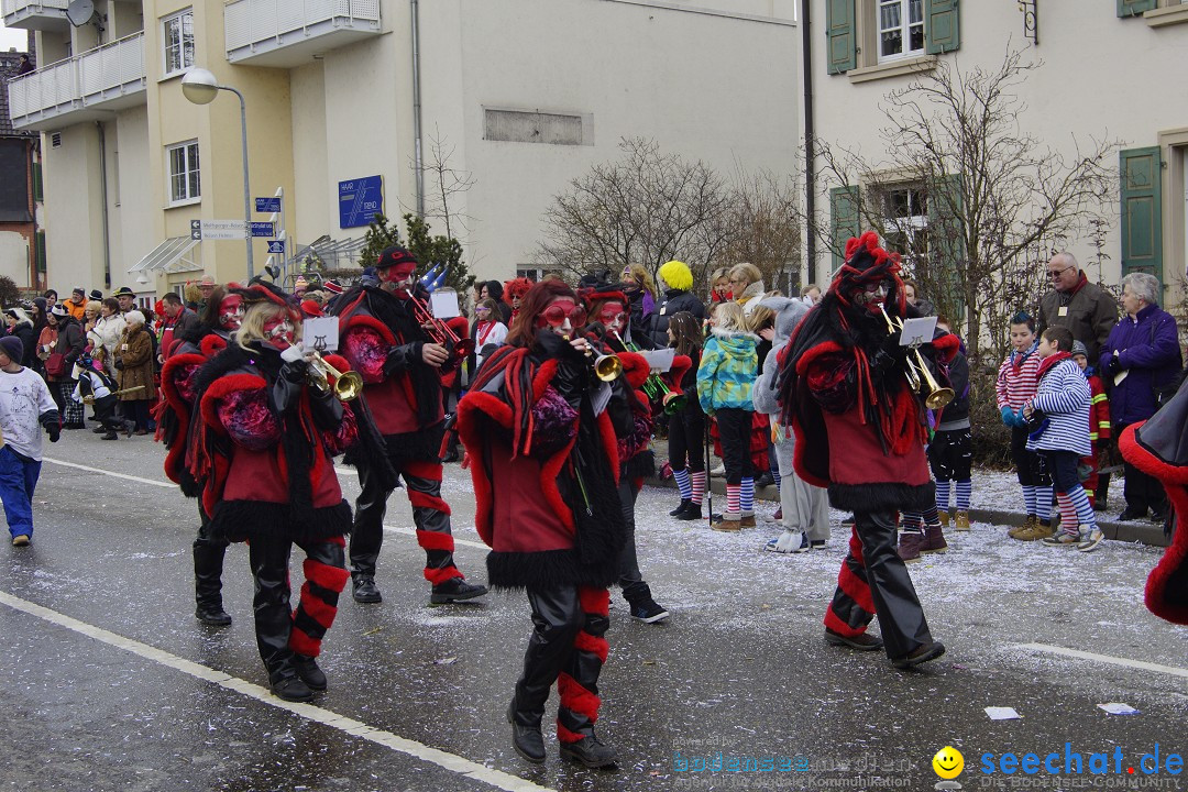 Rosenmontagsumzug: Gottmadingen am Bodensee, 11.02.2013