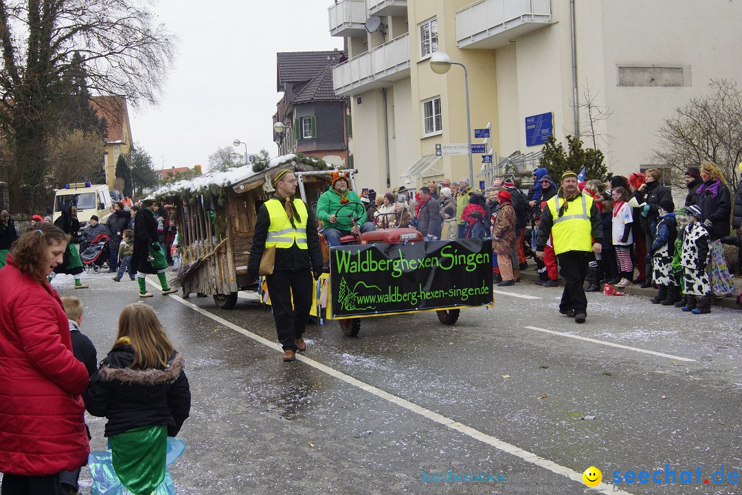 Rosenmontagsumzug: Gottmadingen am Bodensee, 11.02.2013