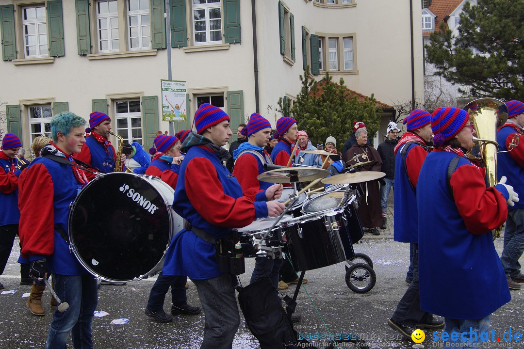 Rosenmontagsumzug: Gottmadingen am Bodensee, 11.02.2013