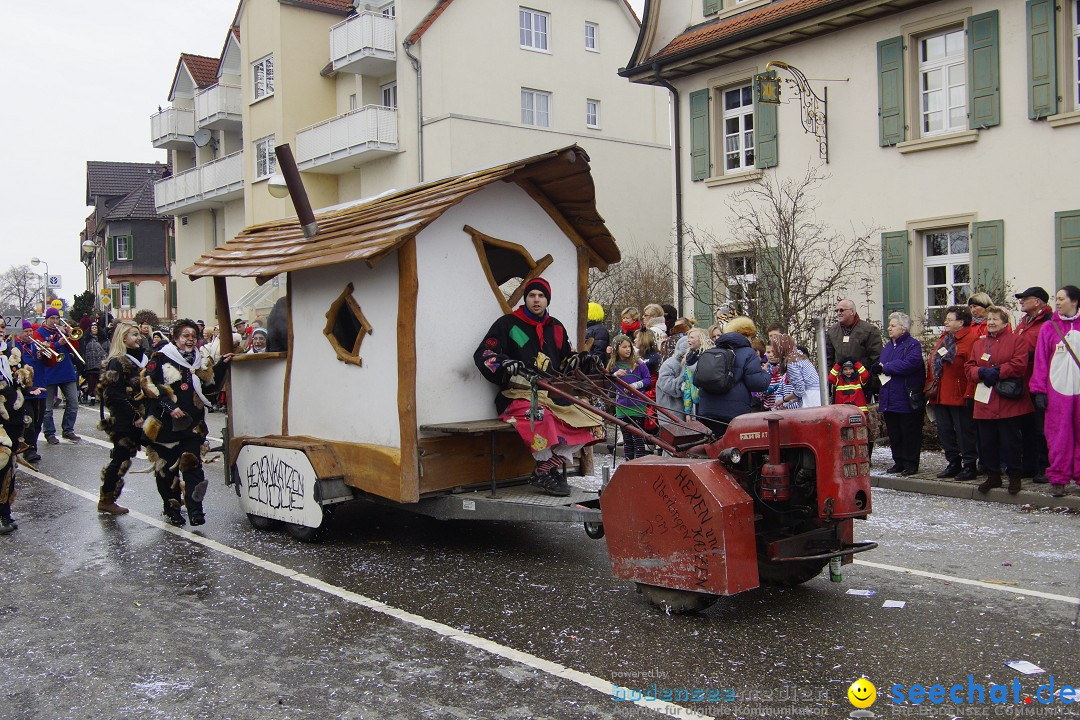 Rosenmontagsumzug: Gottmadingen am Bodensee, 11.02.2013