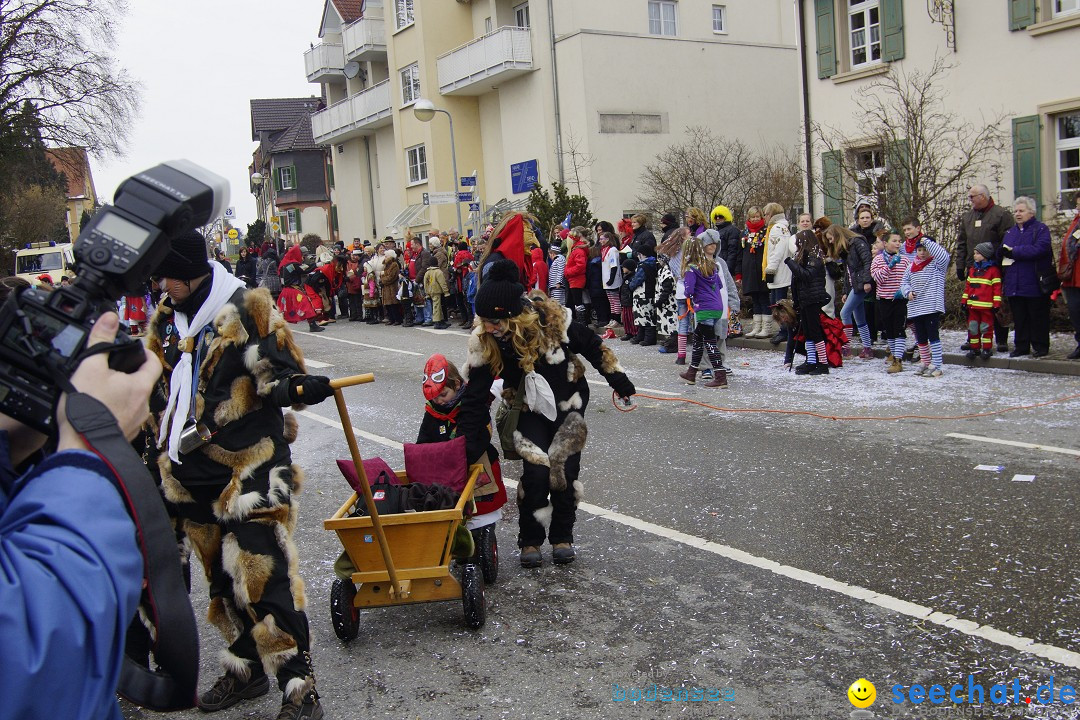 Rosenmontagsumzug: Gottmadingen am Bodensee, 11.02.2013