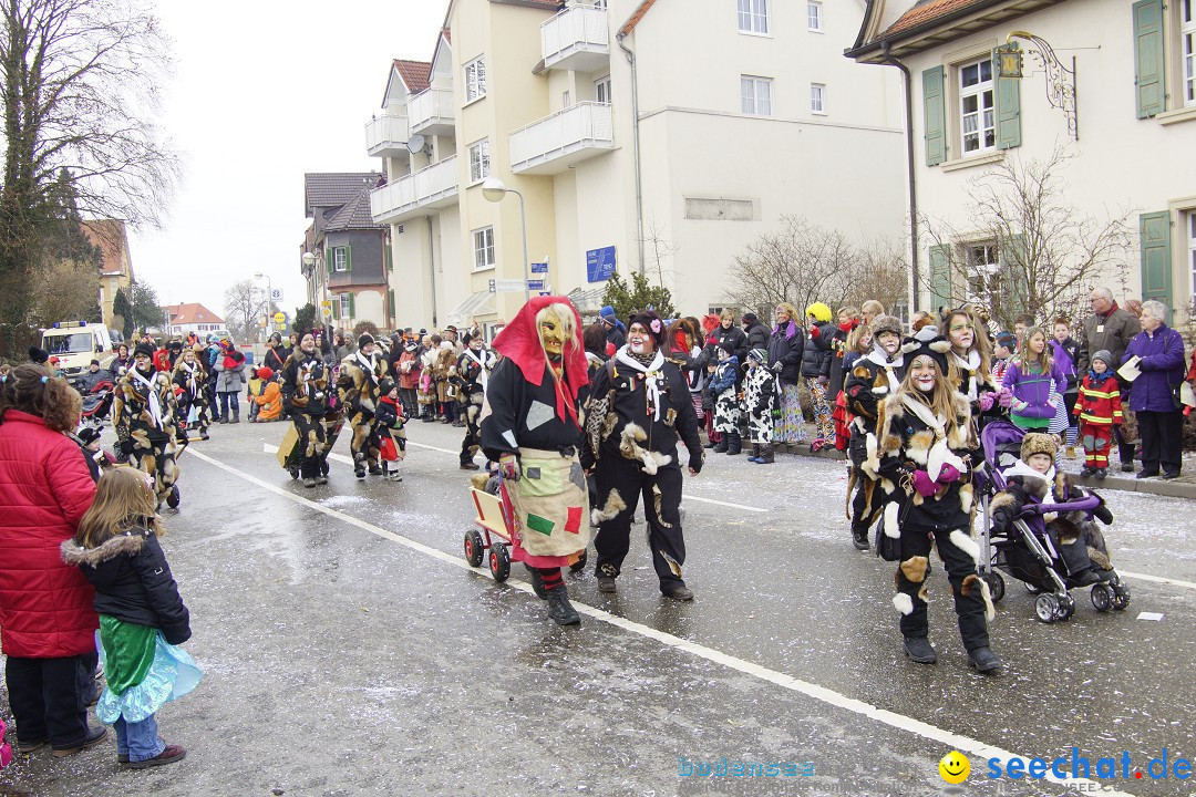 Rosenmontagsumzug: Gottmadingen am Bodensee, 11.02.2013