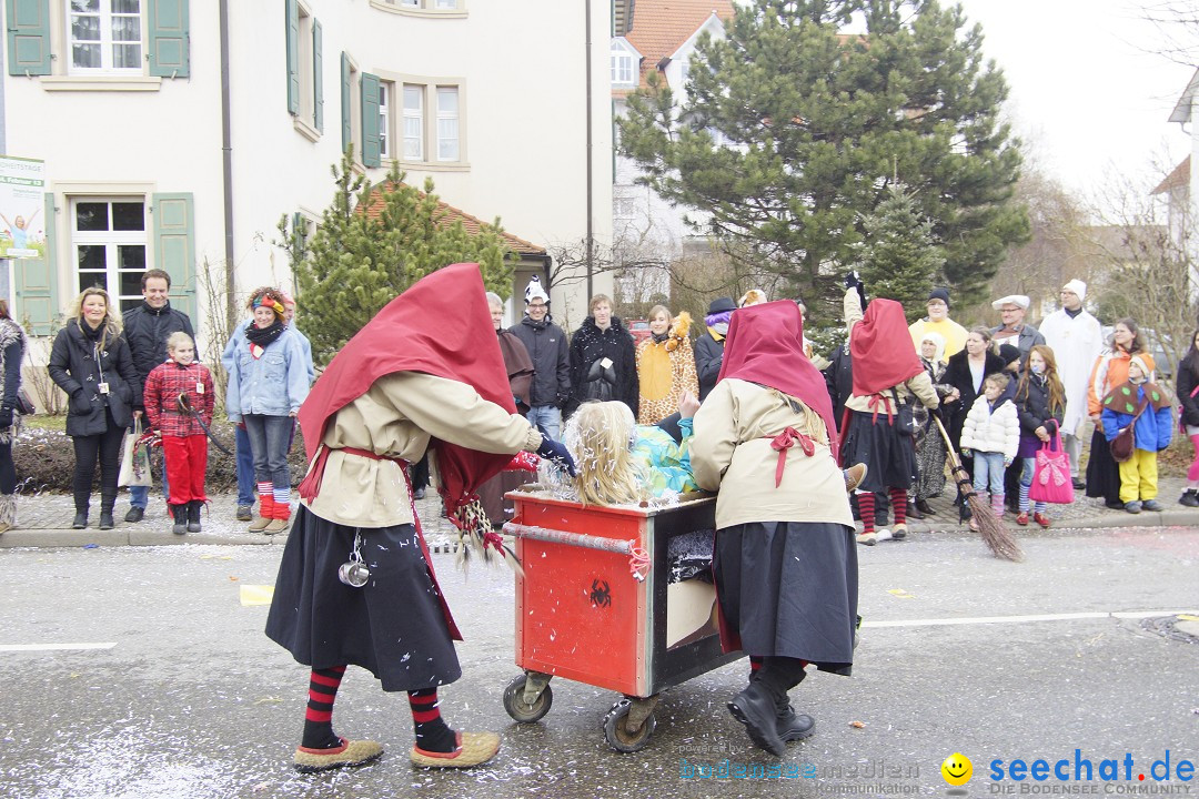 Rosenmontagsumzug: Gottmadingen am Bodensee, 11.02.2013