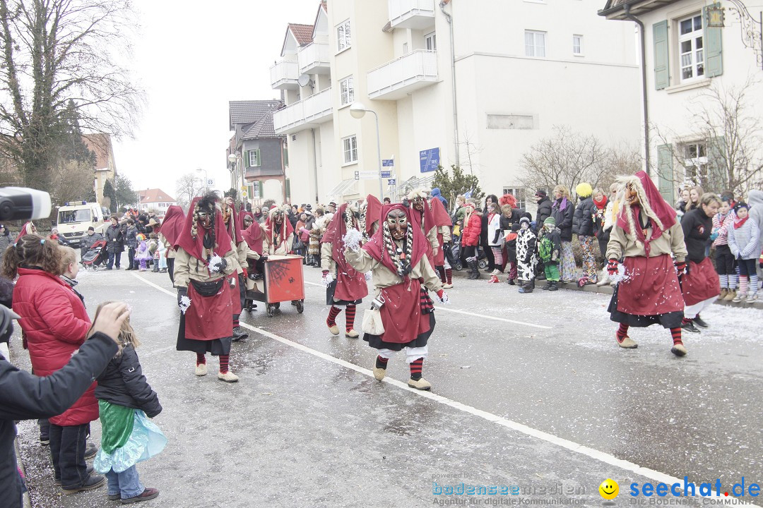 Rosenmontagsumzug: Gottmadingen am Bodensee, 11.02.2013