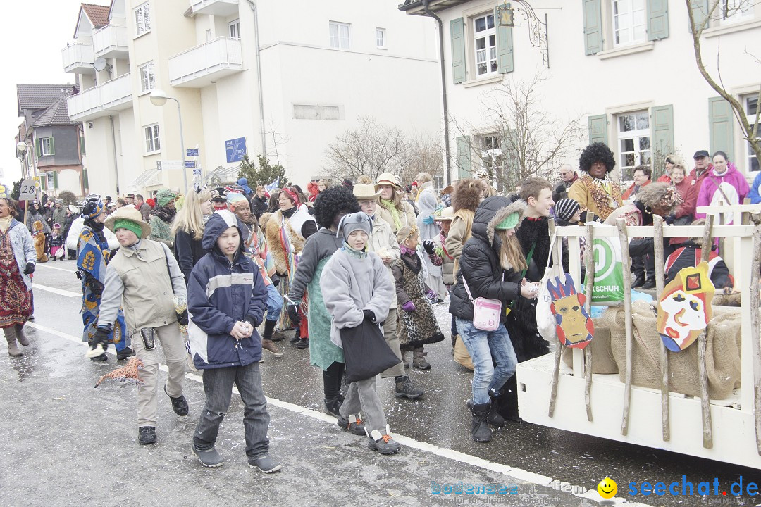 Rosenmontagsumzug: Gottmadingen am Bodensee, 11.02.2013