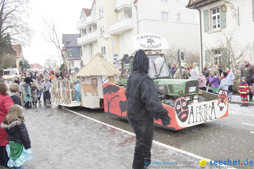 Rosenmontagsumzug: Gottmadingen am Bodensee, 11.02.2013