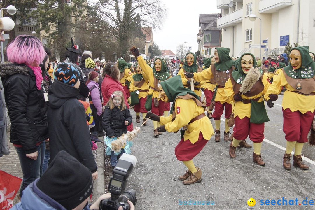 Rosenmontagsumzug: Gottmadingen am Bodensee, 11.02.2013