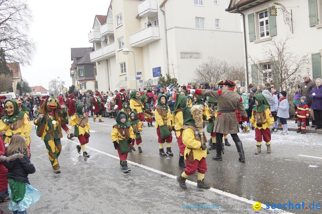 Rosenmontagsumzug: Gottmadingen am Bodensee, 11.02.2013