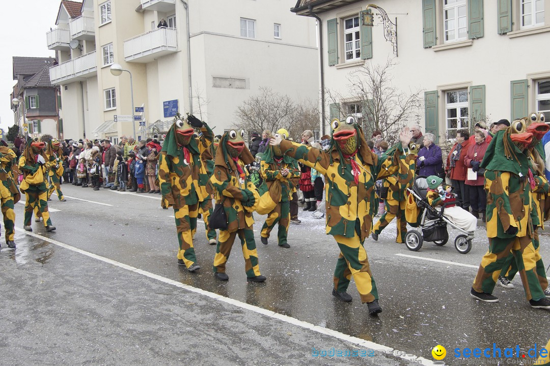 Rosenmontagsumzug: Gottmadingen am Bodensee, 11.02.2013