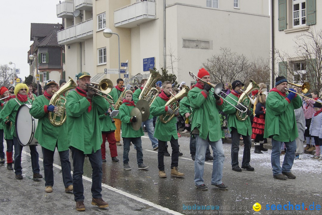 Rosenmontagsumzug: Gottmadingen am Bodensee, 11.02.2013