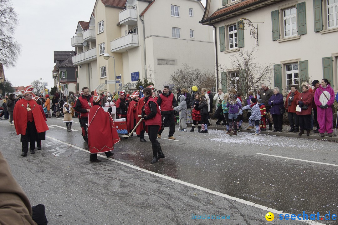 Rosenmontagsumzug: Gottmadingen am Bodensee, 11.02.2013