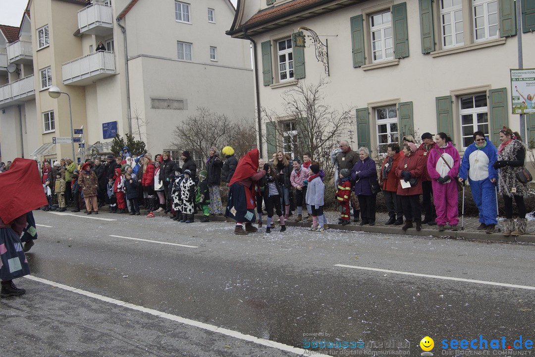 Rosenmontagsumzug: Gottmadingen am Bodensee, 11.02.2013