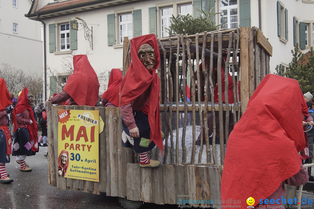 Rosenmontagsumzug: Gottmadingen am Bodensee, 11.02.2013