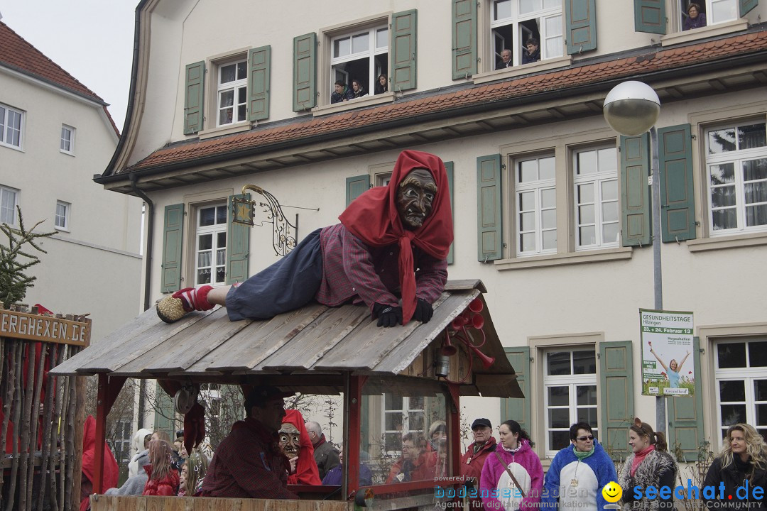 Rosenmontagsumzug: Gottmadingen am Bodensee, 11.02.2013