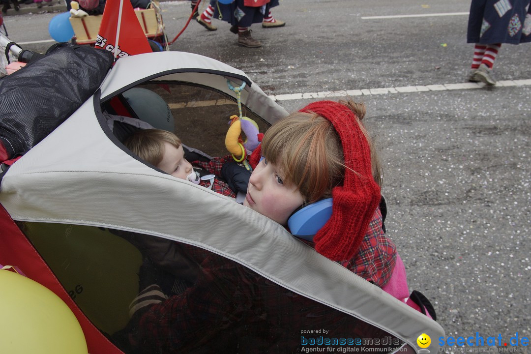 Rosenmontagsumzug: Gottmadingen am Bodensee, 11.02.2013