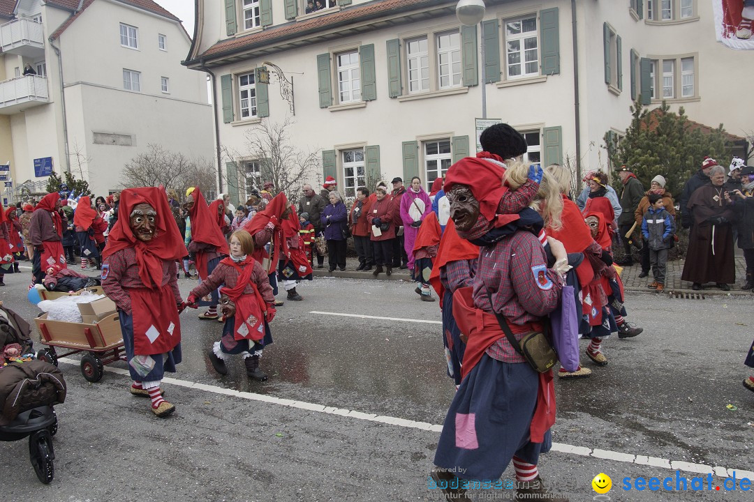 Rosenmontagsumzug: Gottmadingen am Bodensee, 11.02.2013