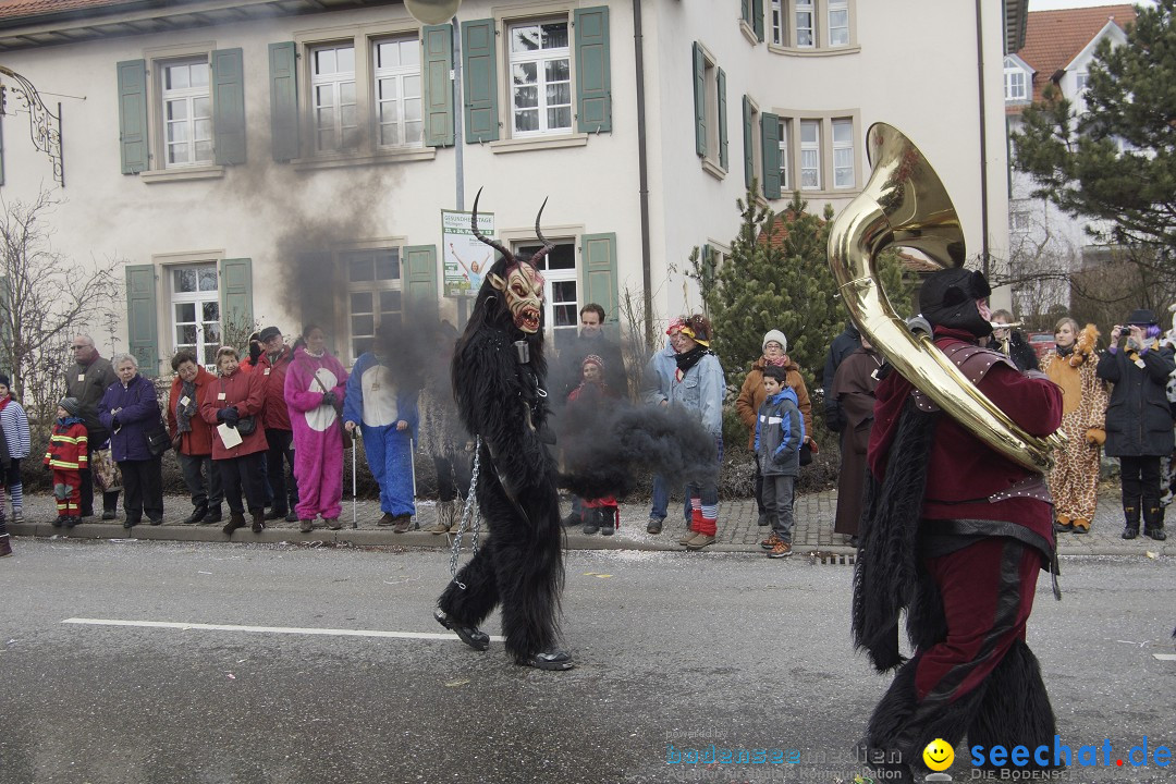 Rosenmontagsumzug: Gottmadingen am Bodensee, 11.02.2013