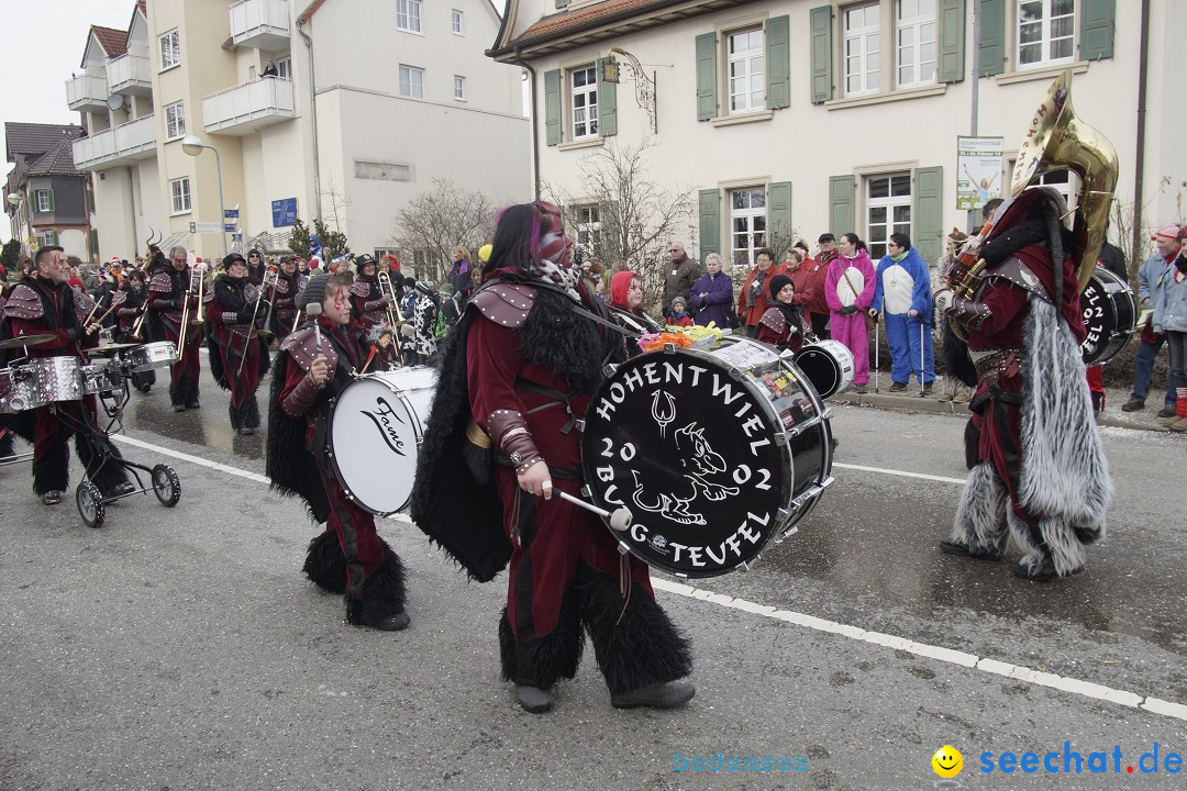 Rosenmontagsumzug: Gottmadingen am Bodensee, 11.02.2013